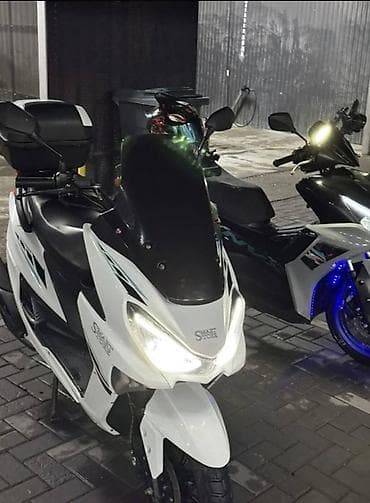 can bus: Скутер/максискутер 150–250 см³ класса City Touring. - Кузов: белый с — 2