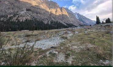 шыны матиз: Honda CR-V: 1996 г., 0.2 - engine capacity л, Автомат, Бензин, Кроссовер — 4