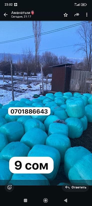 Силос даны менен тюках (бирюзовая пленка) - Кормовые тюки, герметично