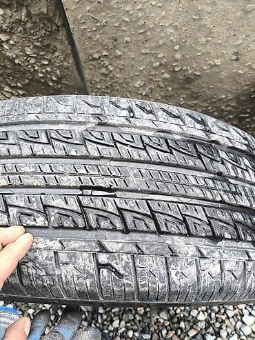 r19: Летние/всесезонные шины 245/55 ZR19 103W (M+S) - Размер: 245/55 ZR19 — 5