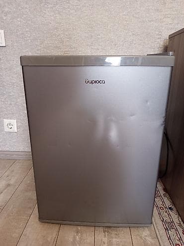 мини холодильник купить: Холодильник Biryusa, Минихолодильник — 1