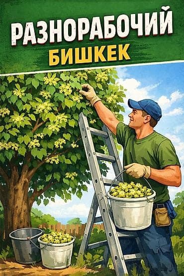 сборщик малины: Требуется Разнорабочий на производство, Оплата: Ежедневно — 1