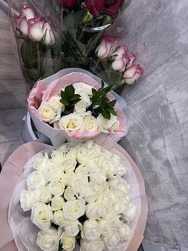 растения цветы: Срочно ушул гулдорду сатам оз баасынан арзаныраак номер — 7