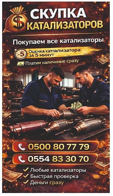 люсида эмина: Катализатор алабыз, Катализатор, Скупка катализаторов Бишкек, Скупка — 1