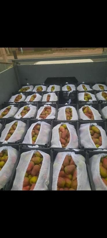 конфетницы бу: Ящик, Новый — 5