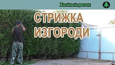 уборка двор: Уборка территории, Уборка двора и сада, Стрижка газона, Другое — 1
