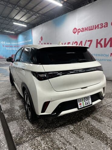 дельфин рекс: BYD Dolphin: 2023 г., Автомат, Электромобиль, Хэтчбэк — 6