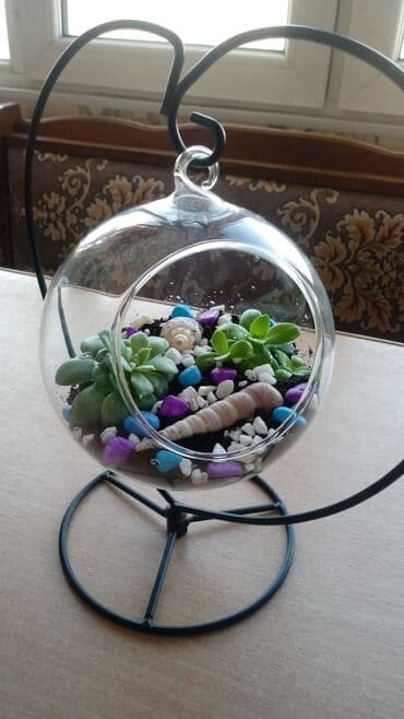 купить аквариум для рыбок недорого: Флорариумы на заказ. Идеальный и необычный подарок. Хотите удивить — 4