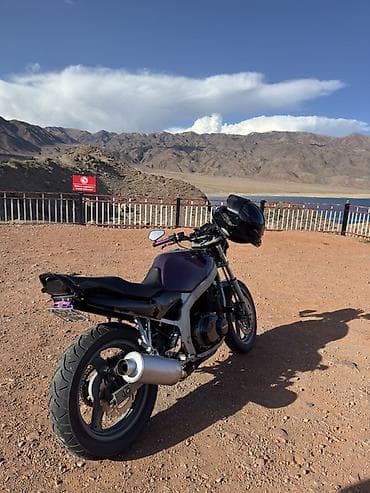 Naked Suzuki, 500 куб. см, Бензин, Взрослый, Б/у