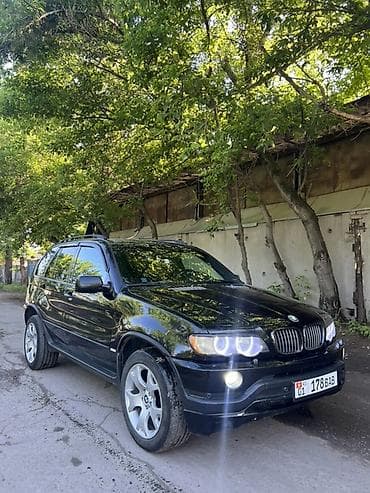 BMW: BMW X5: 2003 г., 3 л, Автомат, Дизель, Кроссовер — 9