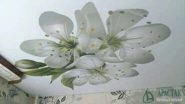 пластиковые панели для потолка цена бишкек: Натяжной потолок Глянцевое, Матовое, 3D потолки Бесплатный замер, Гарантия, Бесплатная консультация — 19