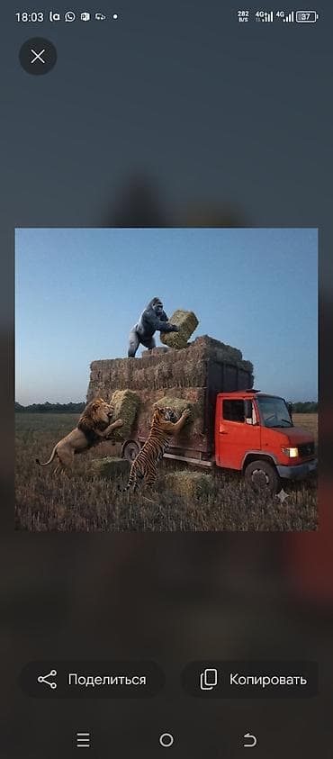 кой сатып алам бишкек: Продажа Мерседес Варё 815. с объёмом двигателя 4.3 — 1