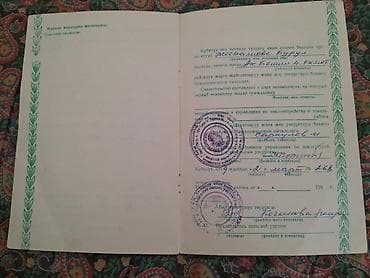 поливные земли: 312 соток, Для сельского хозяйства, Договор долевого участия — 3