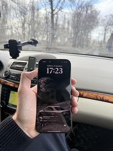 buds 3: IPhone 16 Pro Max, Б/у, 256 ГБ, Desert Titanium, Коробка, 90 % — 4