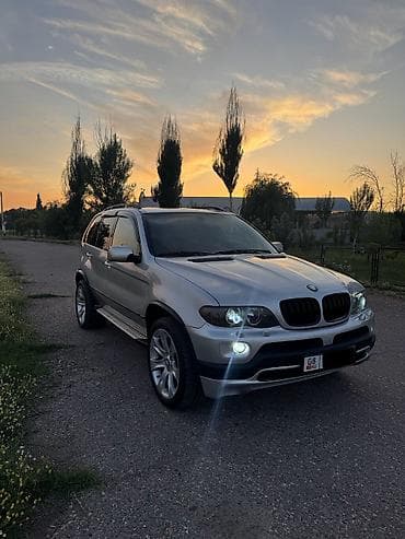 bmw 320: BMW X5: 2004 г., 4.4 л, Автомат — 8