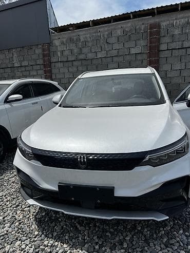 вместе дешевле: В наличии китайские авто С пробегом Neta u pro 9000$ 2022 Byd yan — 5