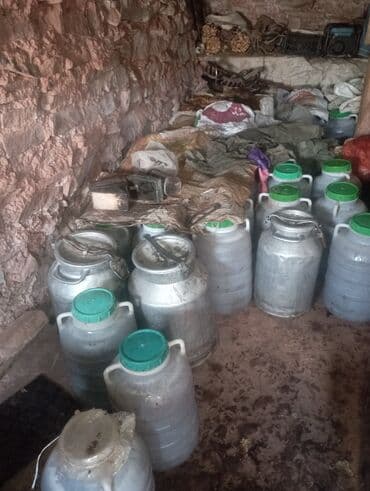 продаю мёд: Сары-Камыш Тержайлак жайлоосунун тоо балы сатылат. Оптомго. Таза бышып — 2