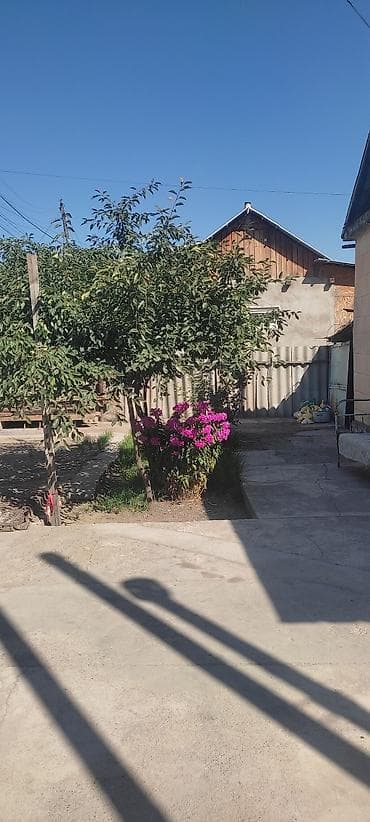 Продаётся дом с приусадебным участком. - Одноэтажный жилой дом из — 2