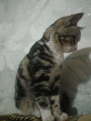 4 месяца, Девочка