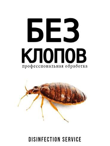 Клининг кызматтары: Дезинфекциялоо, дезинсекциялоо, | Канталалар, | Батирлер, Офистер, Транспорт — 1