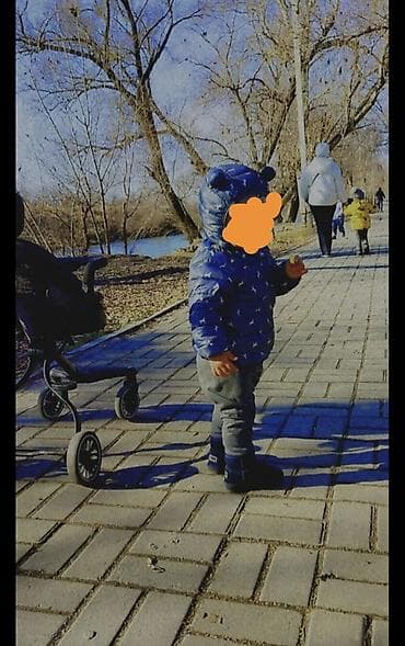 коляски 3 1: Комплект, цвет - Синий — 1