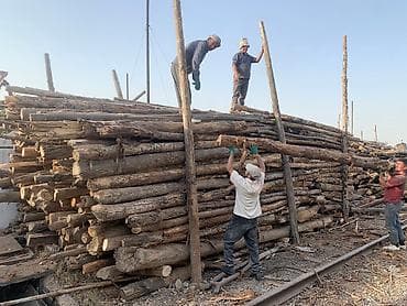 Доски: Жыгач устун таштамай 3метрден -8 метрге чейин только оптом штука жок — 1