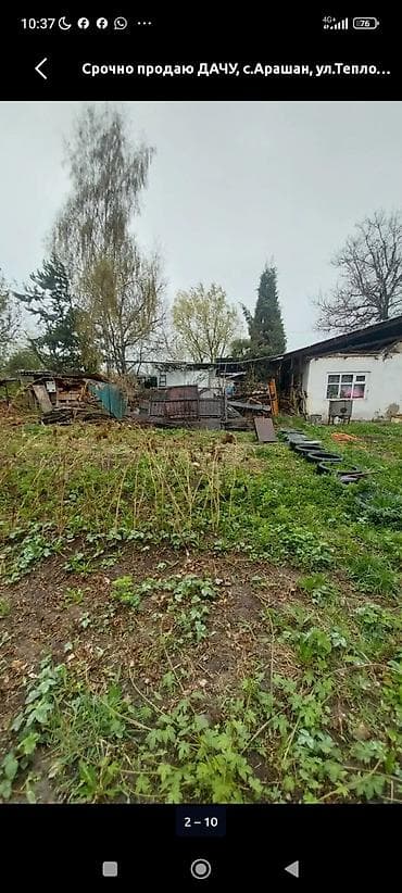 uno city: Дача/садовый участок дачи Михайловские - Участок с плодоносящими — 1