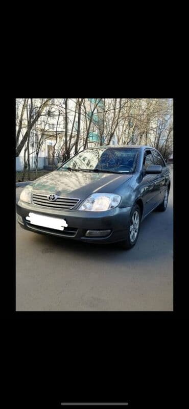 corolla runx: Сдаю в аренду Toyota Corolla (механика)2005 в отличном состоянии — 1
