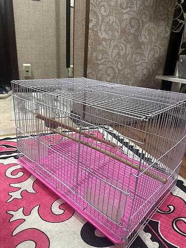 ослинное молоко: Клетка для мелких и средних птиц - Просторная прямоугольная клетка с — 2