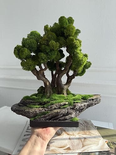 лёд лампочки: Миниатюрные ДЕРЕВЬЯ Бонсай из стабилизированного мха — это стильная — 1