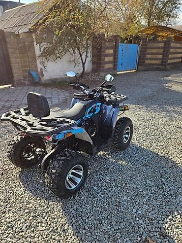 Скутерлер: Квадроцикл Бензин, 200 куб. см — 4