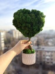 искусственные растения бишкек: Декоративное дерево бонсай, выполненное из стабилизированного мха — 45