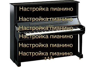Настройка акустических пианино. - Профессиональная настройка -
