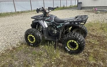 Квадроциклы: Квадроцикл Motoland WILD Sport Spirit - Тип: полноприводный/задний — 2