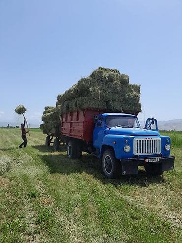 Продажа авто: ГАЗ 12 ZIM: 1992 г., 0.4 л, Механика, Бензин, Пикап — 6