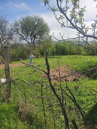 кел кел: 5 соток, Айыл чарба үчүн, Кызыл китеп — 4