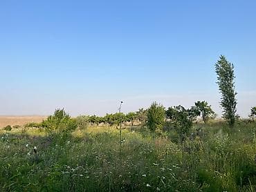 green hill: 300 соток, Договор купли-продажи — 3