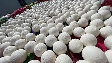 Полуфабрикаты: 🧀 Курут – натуральный, таза, үй шартында жасалган Натуралдуу курут — 2