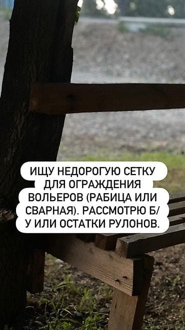 Сетка рабица: Ищу недорогую сетку для ограждения вольеров (рабица или сварная) — 1