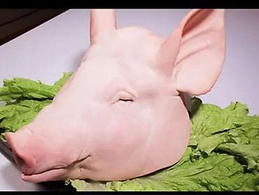 куплю свинину оптом: Продаю, реализую мясо свинины. Тушами полу тушами, минимальный заказ — 7