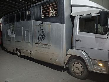 лимузин бычок: Грузовик, Mercedes-Benz, Стандарт, Б/у — 1