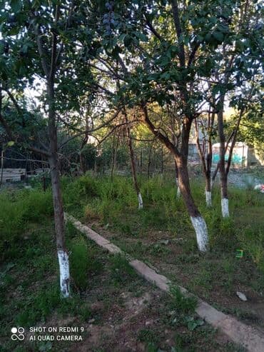 продажа домов чолпон ата: 5 соток, Для сельского хозяйства, Красная книга, Тех паспорт — 3