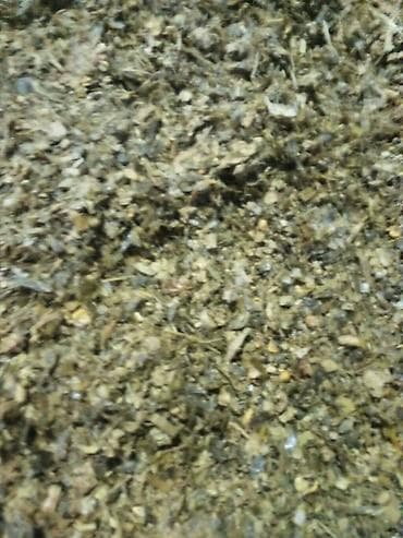 жмых подсолнечный купить: Кукурузный силос (корм для КРС) С погрузкой 6.50 Описание: - Однородно — 2