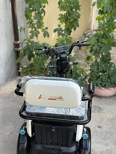 скутр электро: Электрический трёхколёсный скутер (трицикл) - Устойчивая трёхколёсная — 6