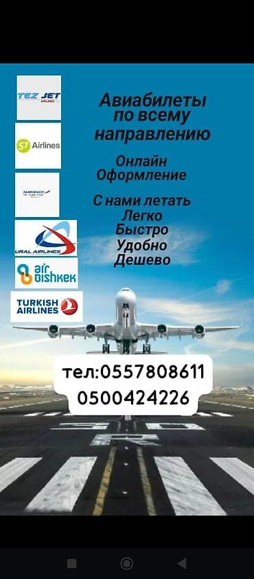 ловушка комаров: Авиабилеты по всем направлениям Онлайн-агентство путешествий — 3