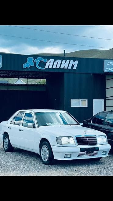 Mercedes-Benz W124: 1995 г., 2.2 л, Механика, Бензин, Седан