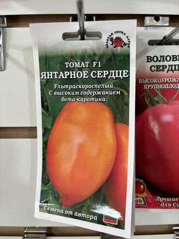 рассада помидор купить: Семена помидоров по 25 сомов «Джина ТСТ» «Лонг кипер» «Янтарное — 3