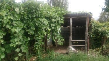 ош недвижимости: Үй, 80 кв. м, 3 бөлмө, Менчик ээси, Эски ремонт — 7