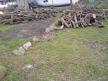 кукурузные стебли: Дрова — 3