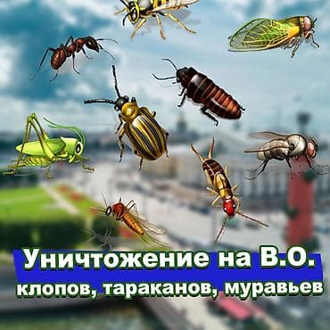 семис кой: Дезинфекция, дезинсекция, | Клопы, Блохи, Тараканы, | Транспорт, Офисы, Квартиры — 6